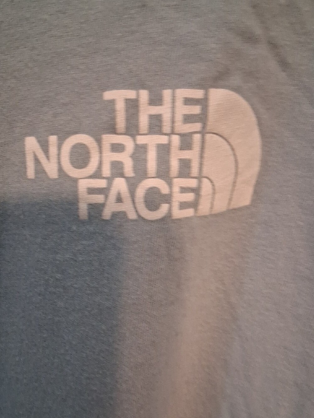 The North Face Blue Logo Graphic Short Sleeve Crew Neck T-Shirt Size XL - Picture 4 of 5